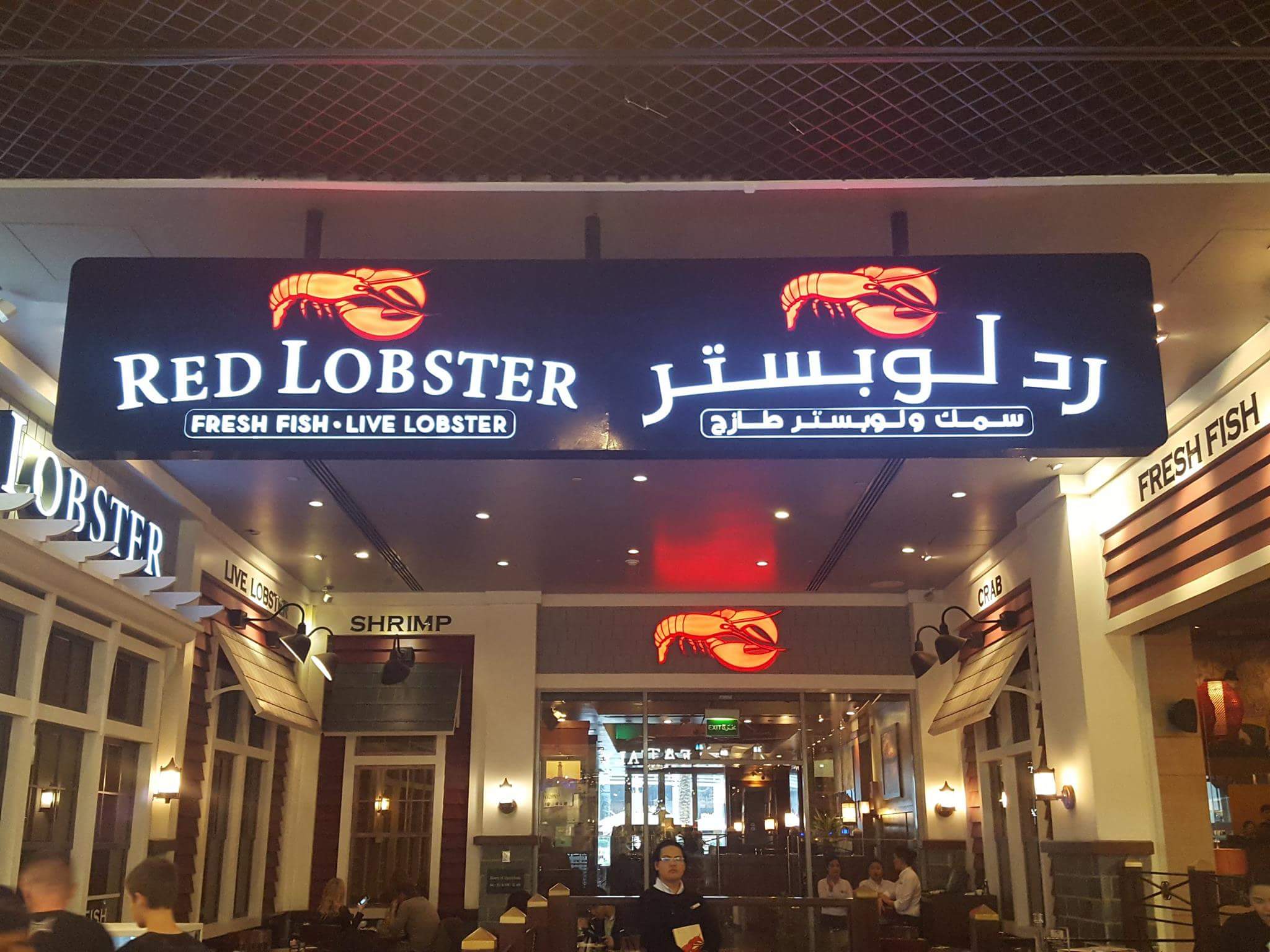 Tamara visiting Dubai in four days