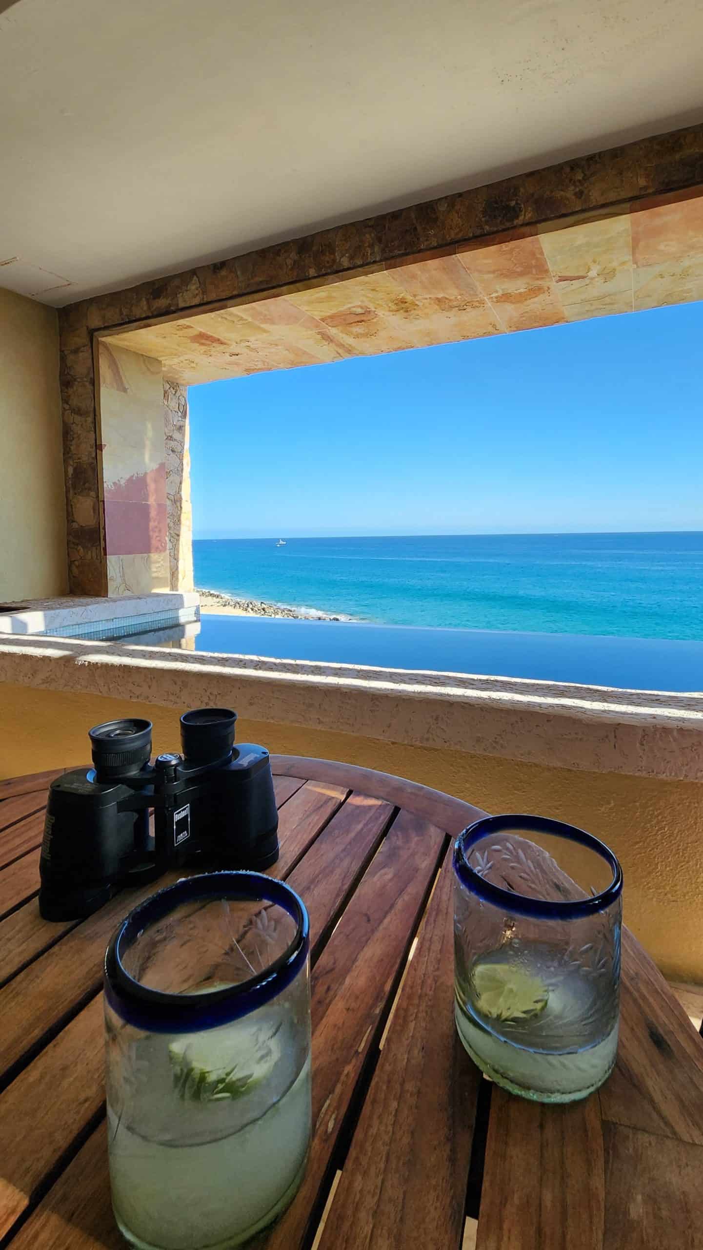 Binoculars for whale watching